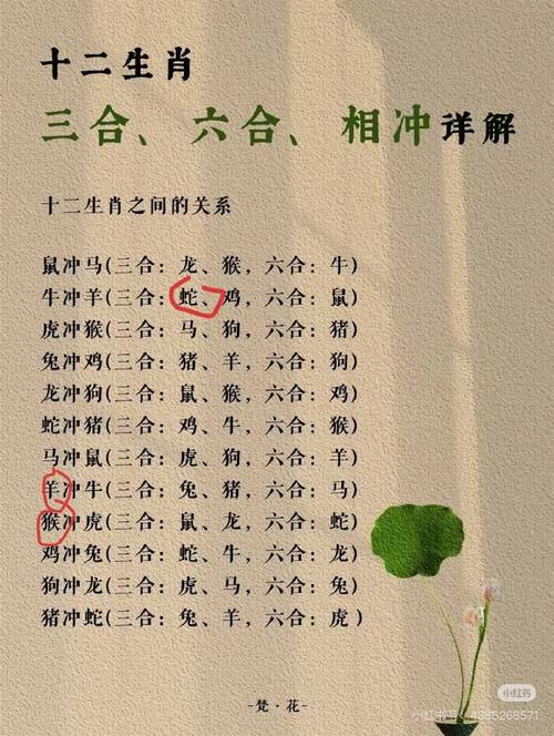 今期六字出玄机最准确生肖,今期六字出玄机是指哪个生肖