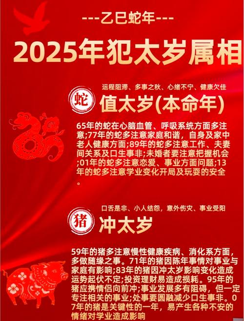 2025年是什么生肖?,2025年是什么生肖犯太岁