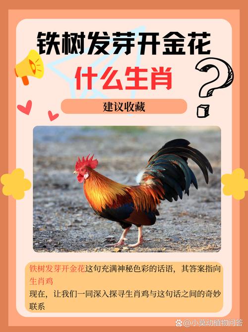 今期生定南方打一生肖,今期生肖定将军猜一生肖