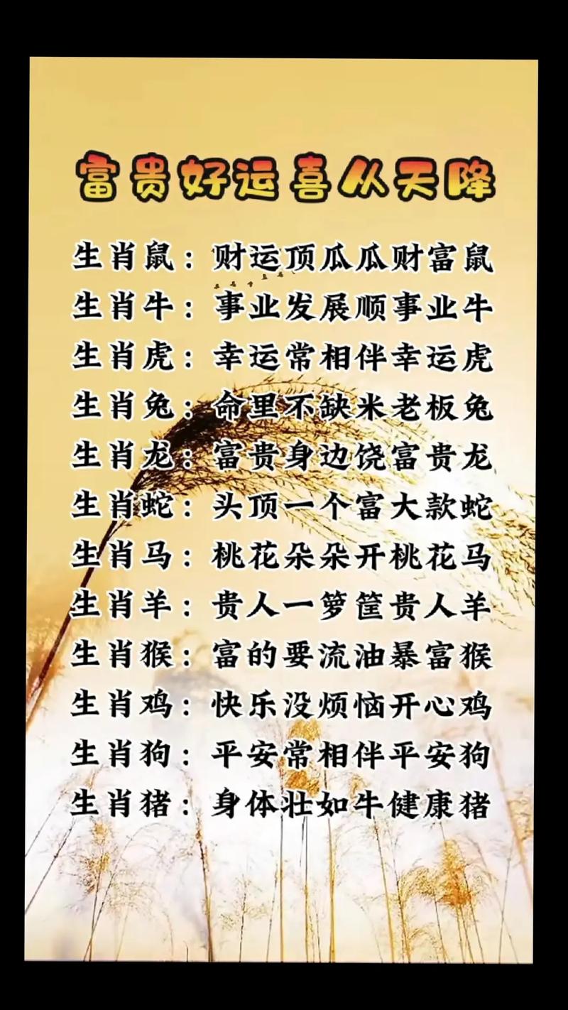 今期生肖走马西打一准确,今期生肖走四方是什么动物