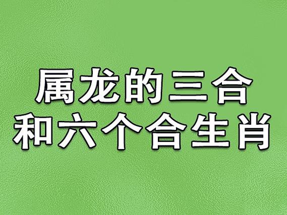 龙和什么生肖合作合财,龙和什么生肖合伙做生意