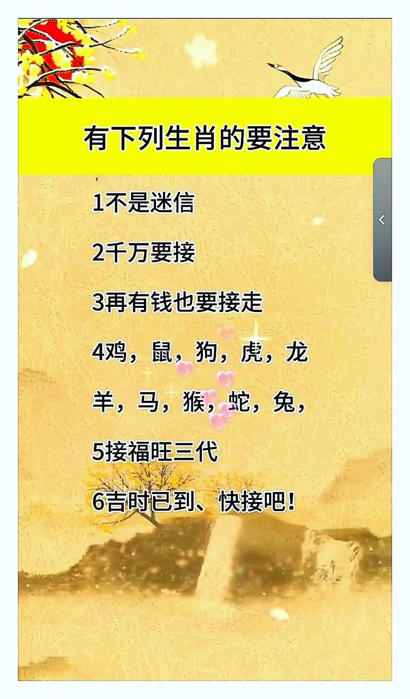 今期生肖开是什么意思,今期开什么生肖动物视频