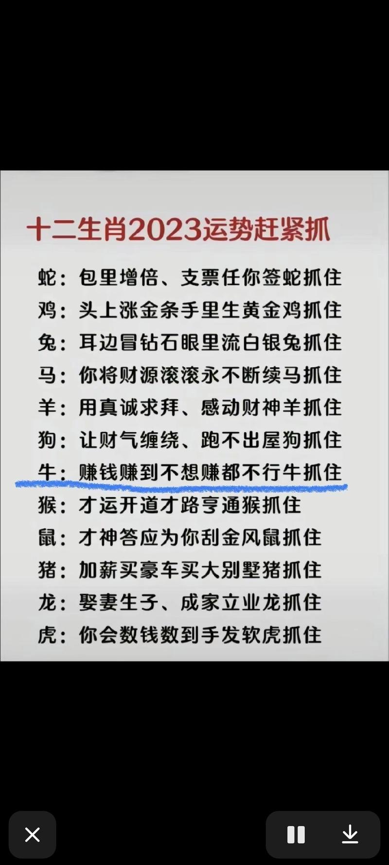 今期生肖九字开猜生肖或数字,今期生肖九字头,兔来本期看四九