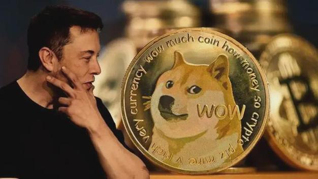 狗狗币为什么被央视点名,狗狗币2025会涨到10万元一枚吗