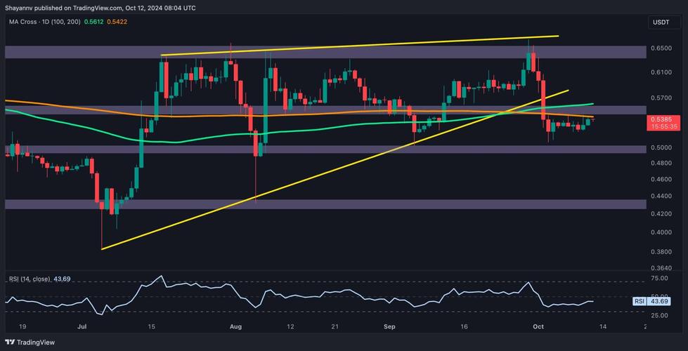 瑞波币最新官网消息,瑞波币2021最新消息
