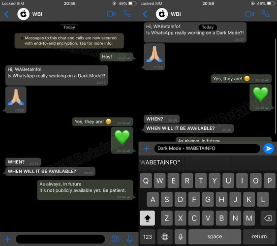 WhatsApp官方免费版详细介绍，下载方法及功能特点解析