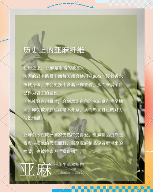 了解linen：探秘亚麻面料的来源、特点和未来发展