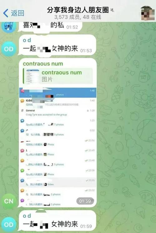 telegraph群组搜索器,telegram 搜索group
