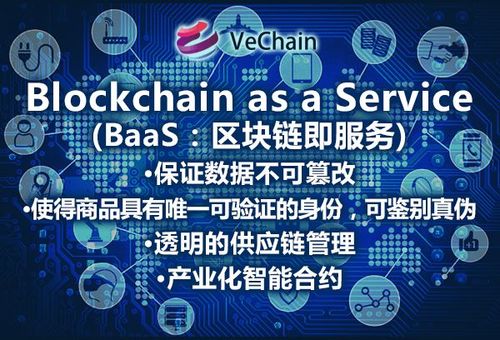 索拉纳公链基本情况：高性能区块链的优势与前景分析
