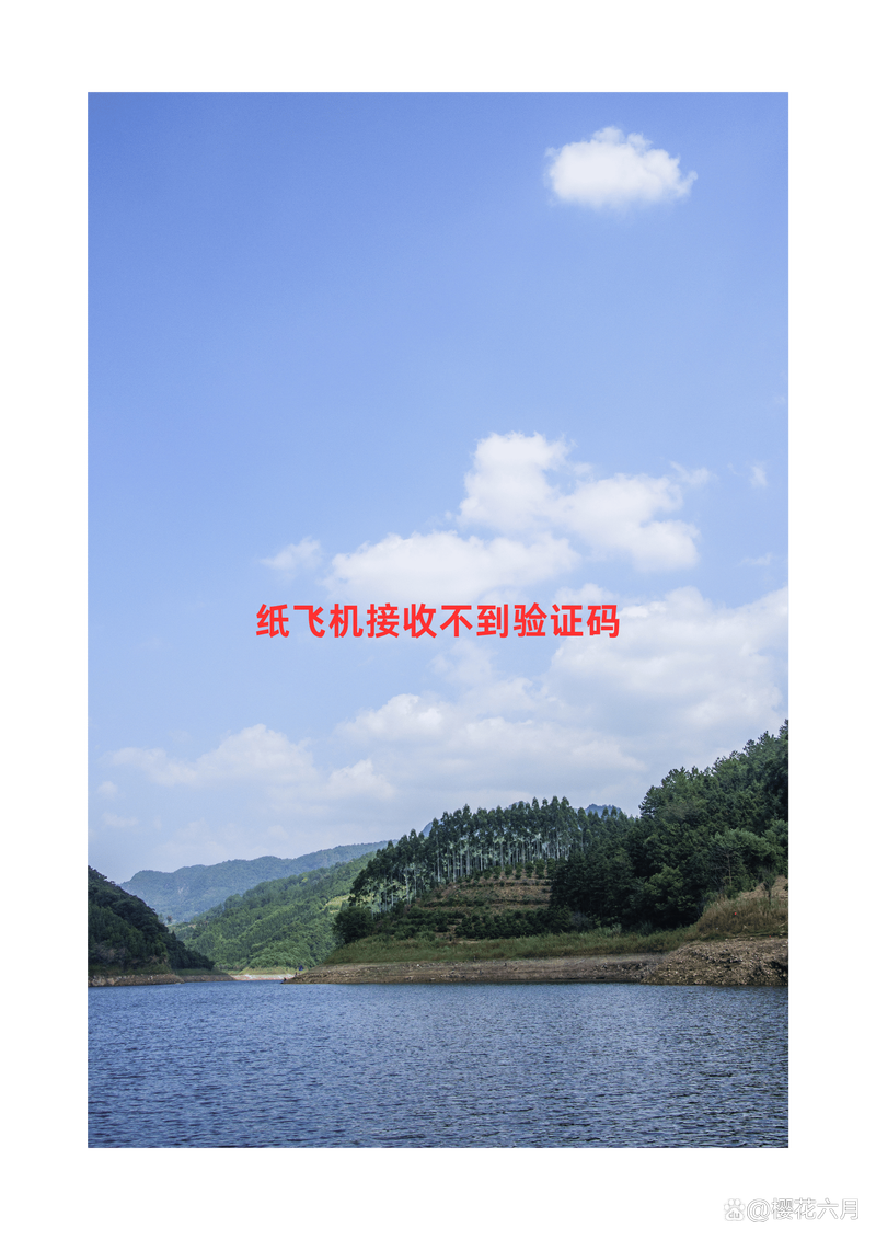 纸飞机app收不到验证码,纸飞机app收不到验证码怎么回事