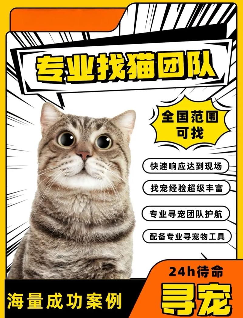 旧版本快找猫app下载,旧版本快找猫app下载正在跳转