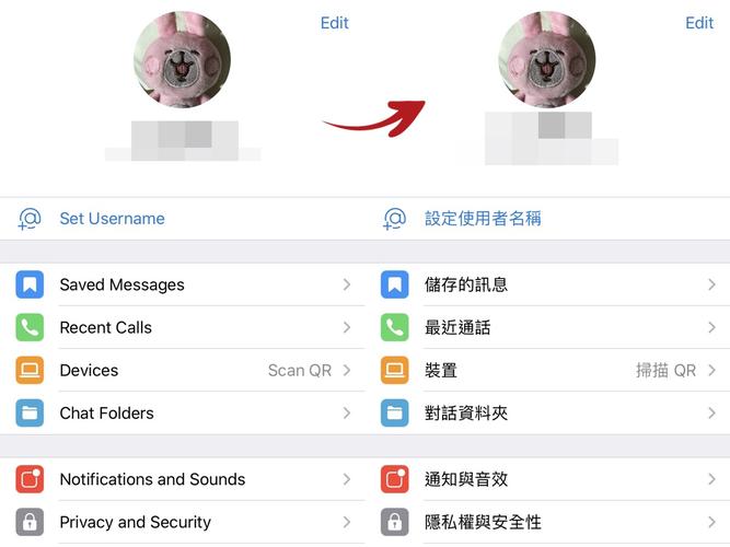 telegreat汉化版下载,telegreat汉化版下载版下载