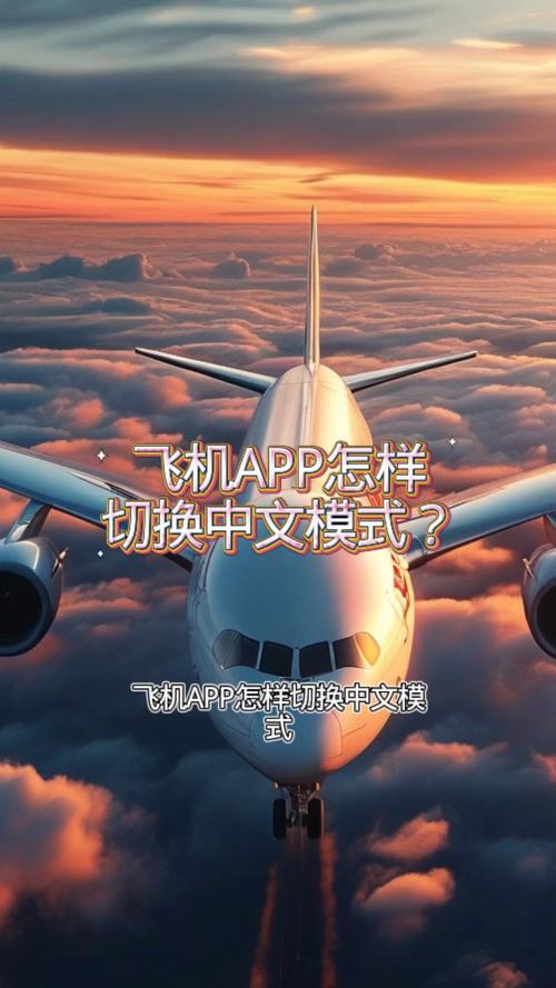 飞机怎么弄成中文版,飞机怎么弄成中文版模式
