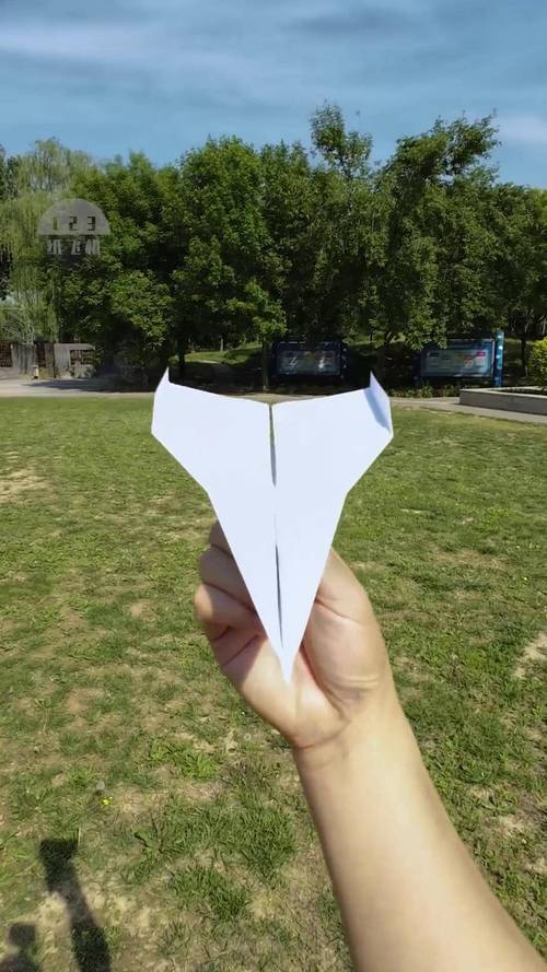 纸飞机免费视频,播放纸飞机的视频