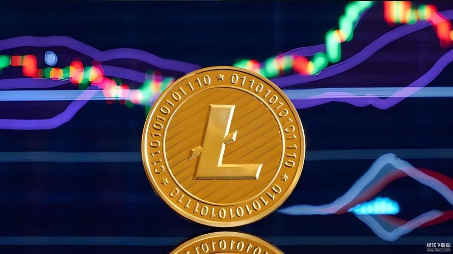 关于狗狗币为什么被严重低估的信息