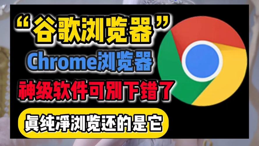 谷歌浏览器插件下载,chrome谷歌浏览器官方下载