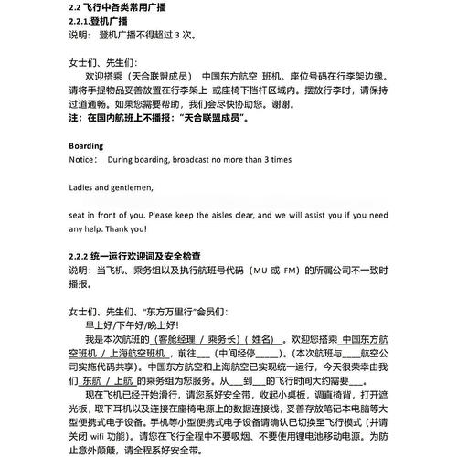 飞机中文语言包,飞机中文语言包链接