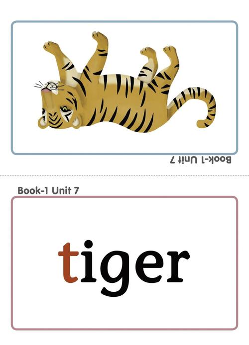 Graphic怎么读,infographic怎么读