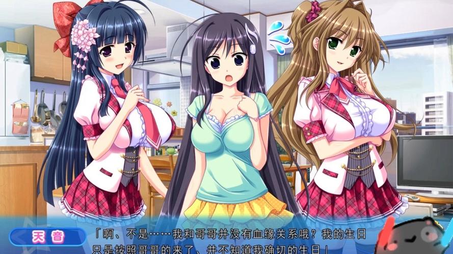 galgame汉化补丁库,galgame汉化补丁打不开