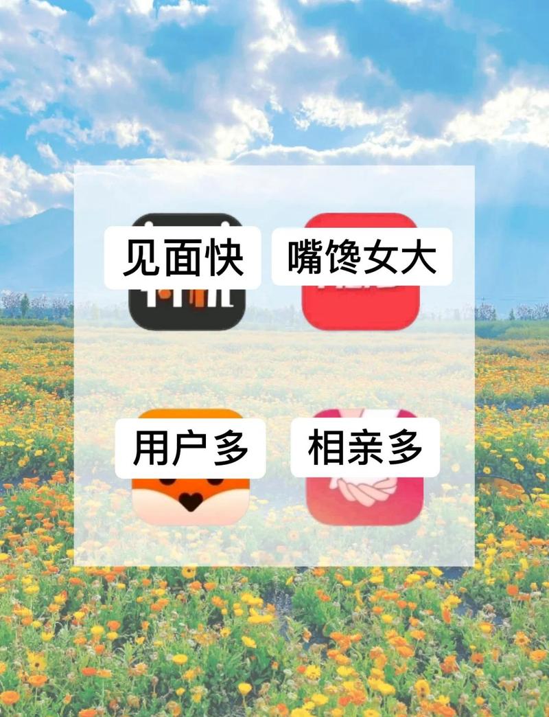 免费一对一私聊视频聊天,一对一视频收费聊天的软件