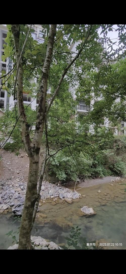 重庆一小区堡坎垮塌3人受伤的简单介绍
