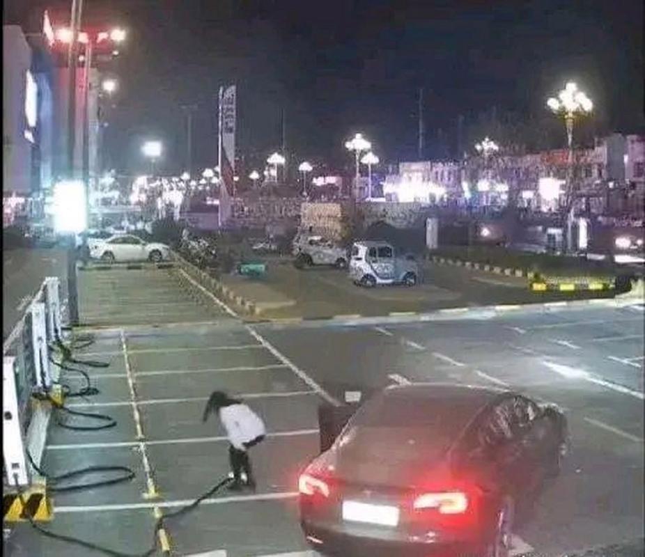 包含浙江回应一地在盲道上设围栏的词条