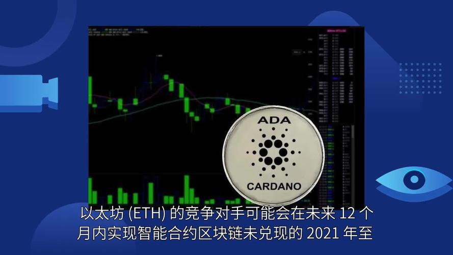 卡尔达诺大术参考文献,卡尔达诺cardano项目