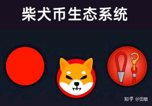 柴犬币、柴犬价格多少钱一只 柴犬币、柴犬价格多少钱一只